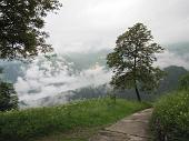 05 Sempre nebbia...